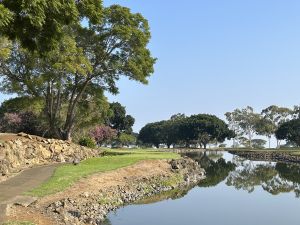 Makani 8th Tee